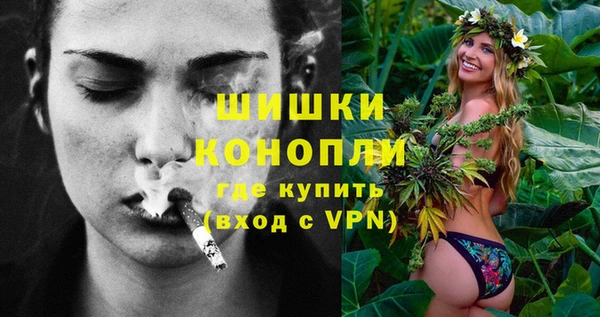 2c-b Бородино