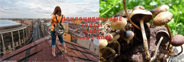 2c-b Бородино