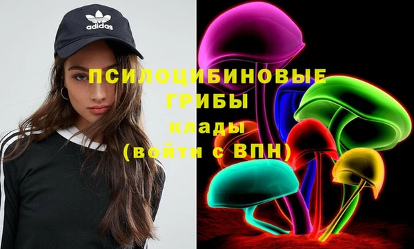 2c-b Бородино