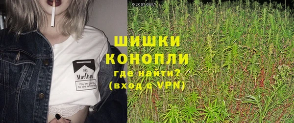 2c-b Бородино