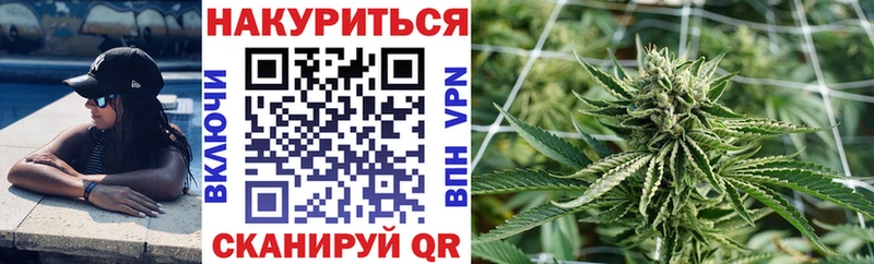Конопля ГИДРОПОН  мега вход  Курск 